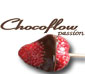 Chocolate Fountains Rentals & Sales
